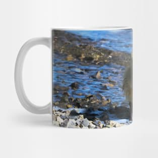 Wet Gosling Walking Along The Water Mug